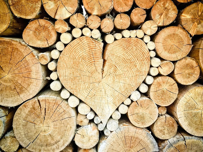 kiln dried logs firewood delivered